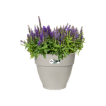 vibia campana round 25cm silky white